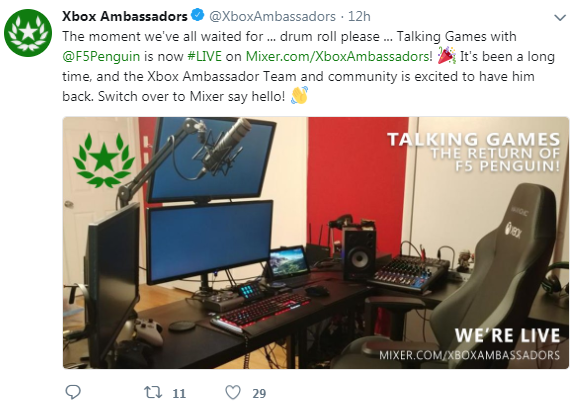 brand ambassadors